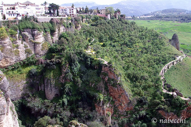 スペイン・アンダルシア地方 ロンダのワインアメリカワインクラブ