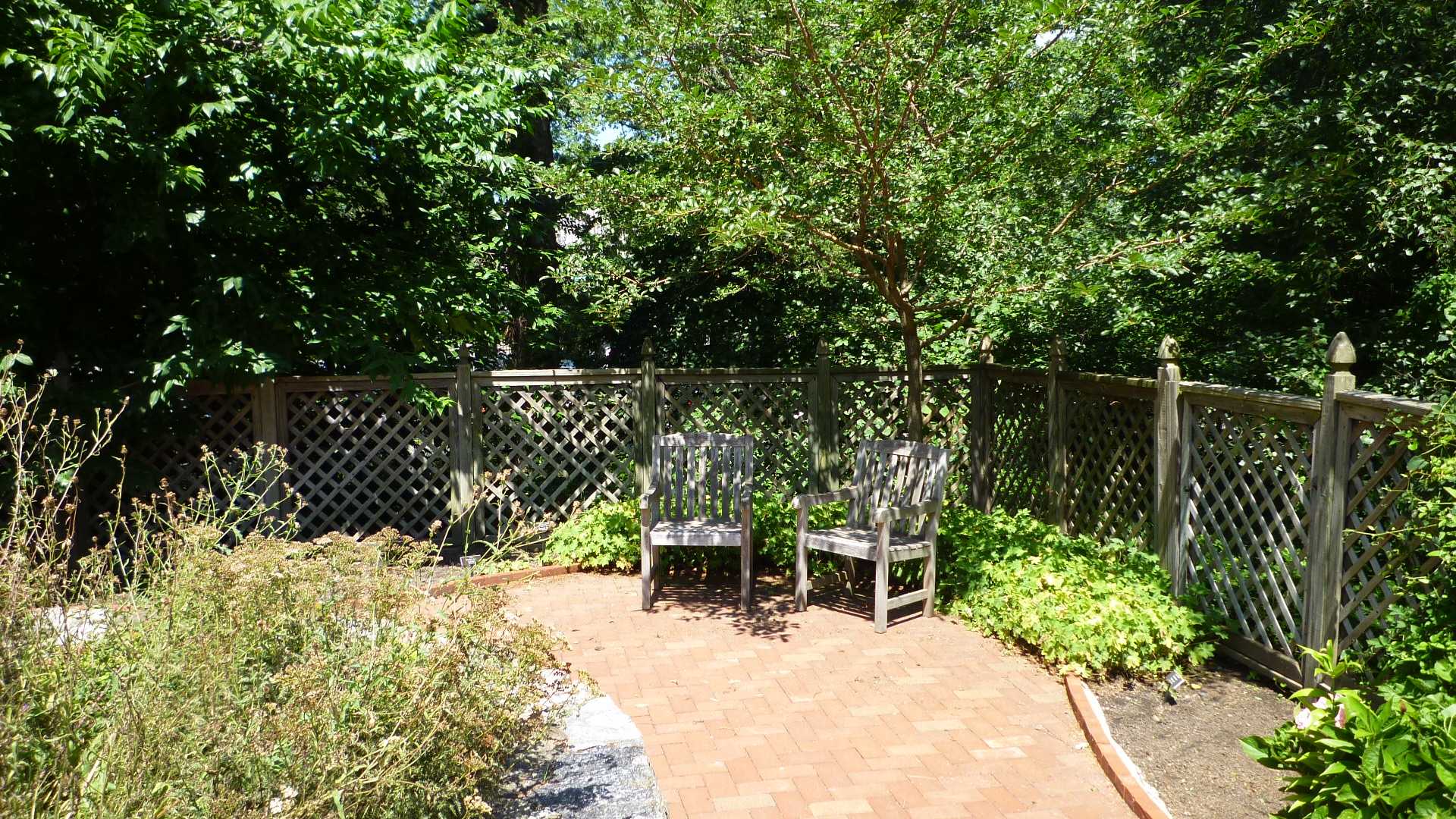 55 ニューヨーク植物園 行ってきました!