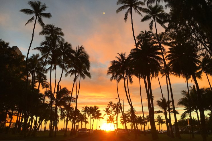 サンセットセーリング マカニ号 嬉しいドリンク追加オプションあり！＜ワイキキ送迎可 ケワロ湾発＞ハワイ オアフ島