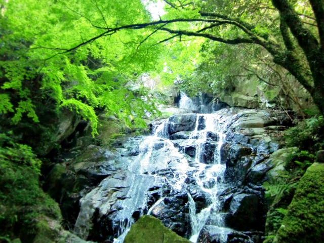 2023年版 関東の夏でも涼しく過ごせるキャンプ場Greenfield グリーンフィールド