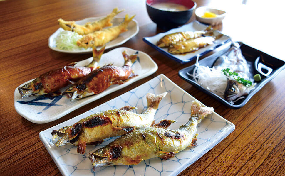 岐阜県の「天然鮎みやちか」が 天然鮎漁獲の伝統的な手法「ヤナ漁」の実態を初公開！美並観光株式会社