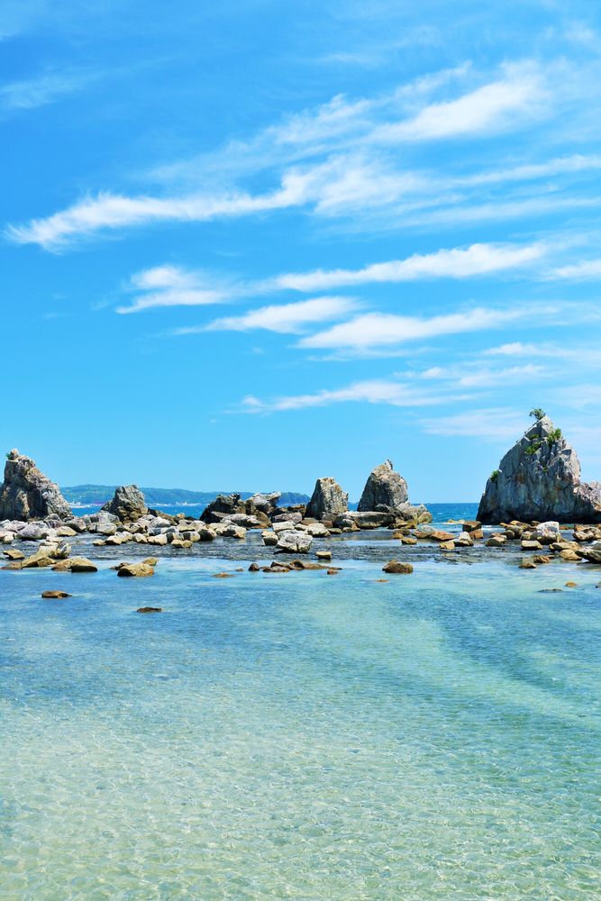 和歌山県・紀伊半島 串本 の海には “世界で最北”のサンゴ群落がある？