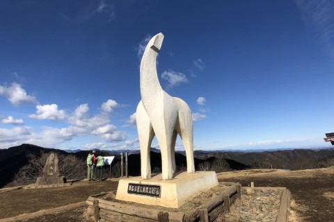 関東平野の夜景×山カフェ 高尾山ナイトハイクe-moshicom イー・モシコム