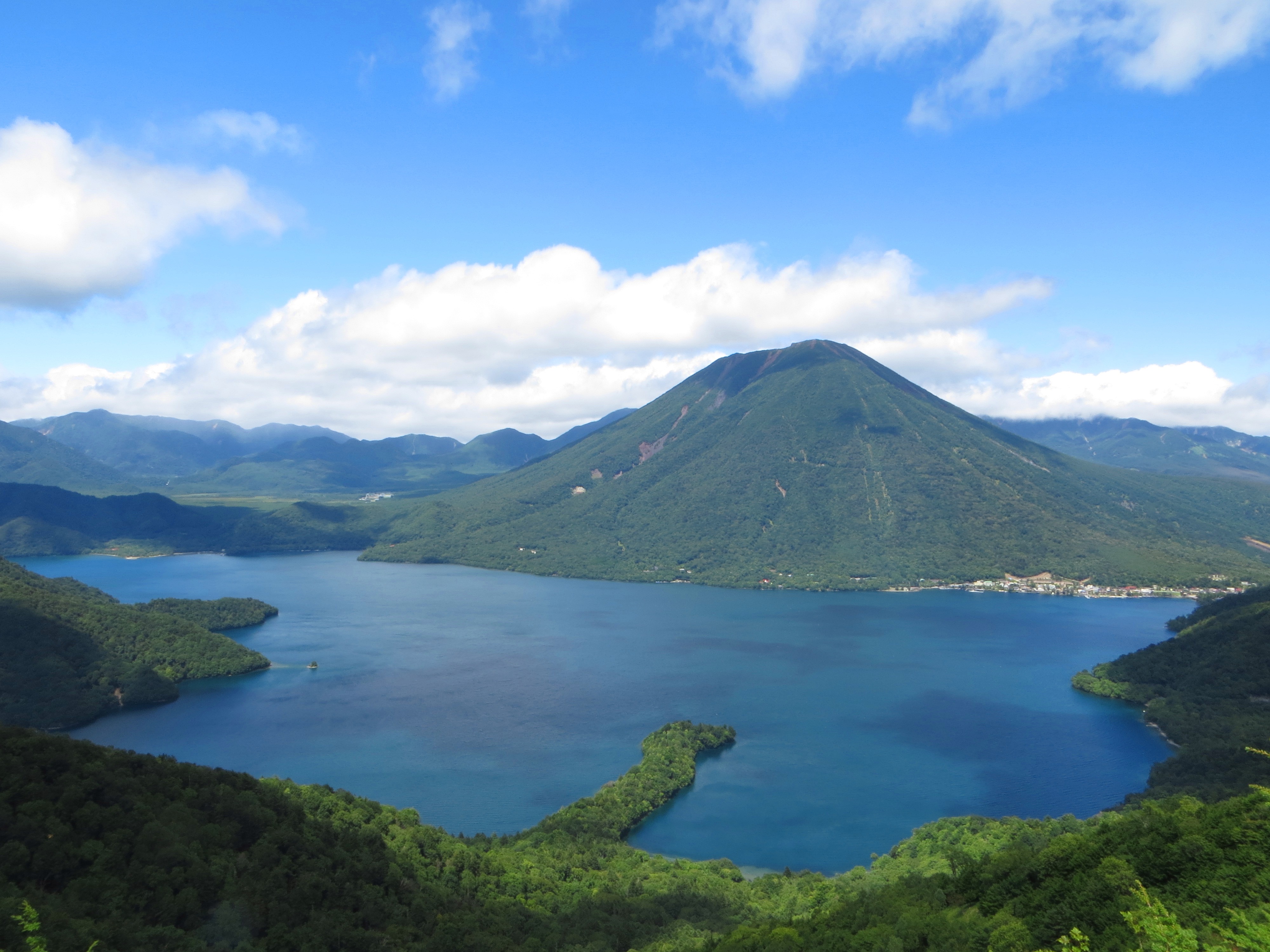 栃木県の巨木 日光中禅寺湖・八丁出島のブナ