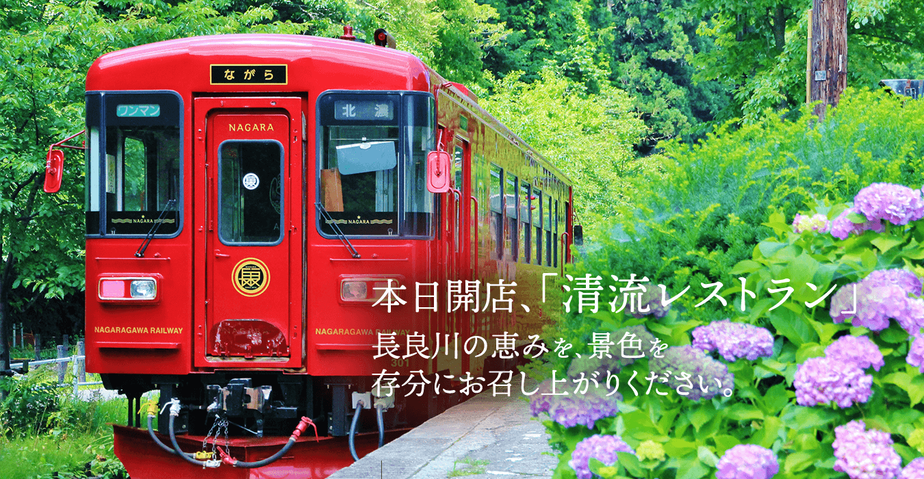 名古屋発 予約困難！大人気観光列車「ながら」乗車体験＆ホテル積翠園で和食ランチ日帰り グルメバスツアー愛知名古屋発-岐阜着2025年10月 たび比較なび