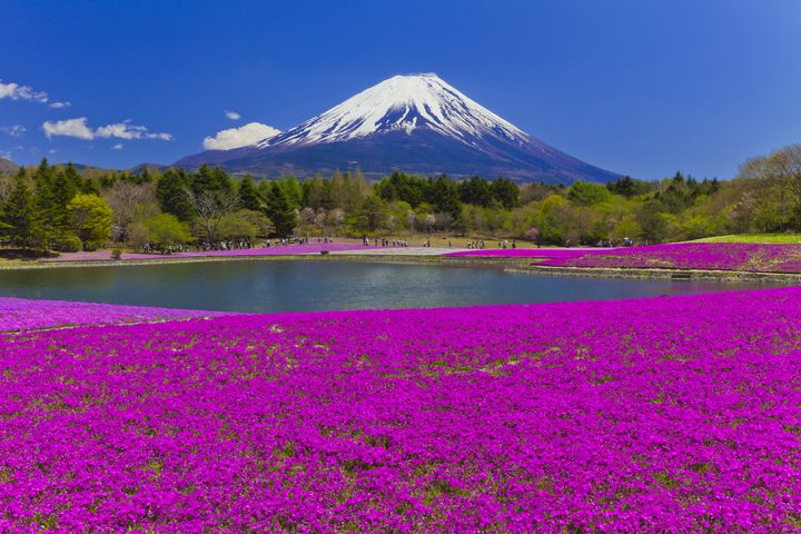 静岡県のおすすめデートプラン＆デートスポット一覧 アーカイブ - 縁結び大学
