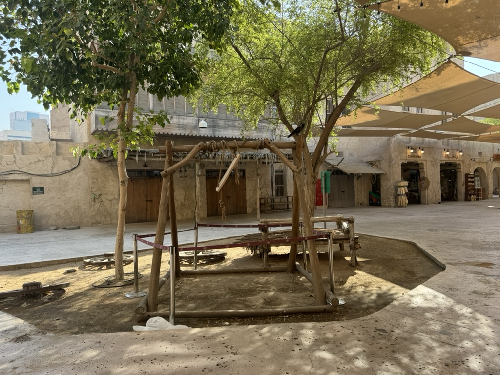 TOP5 アプリランキング in