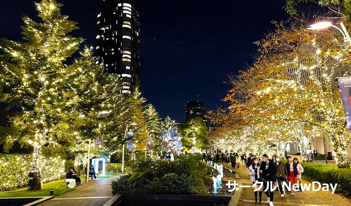 東京ミッドタウン六本木 クリスマスツリー2021WORKS株式会社グリーンディスプレイ植物を用いてオフィスや商空間をグリーン溢れる空間にデザイン