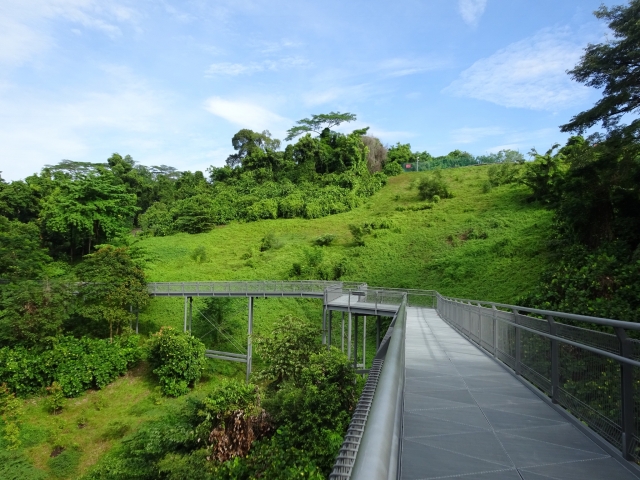 シンガポール観光おすすめスポット23選！定番から最新まで絶対外せない人気スポットを厳選