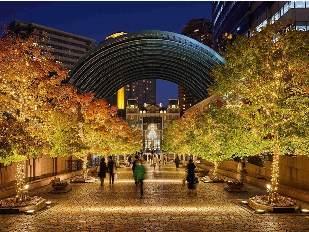 11月9日 土 点灯式のお知らせ