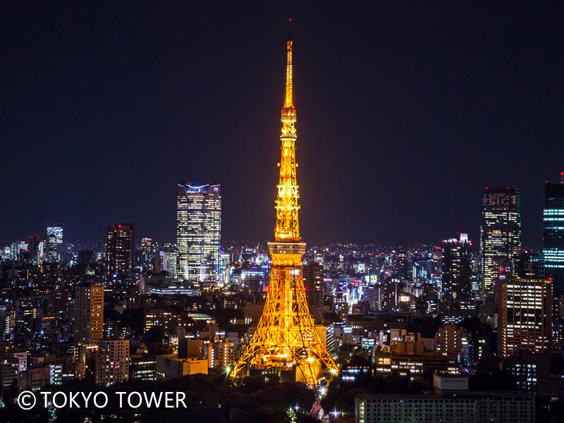 六本木の夜景スポット5選！ドライブデートから穴場までNEWT ニュート