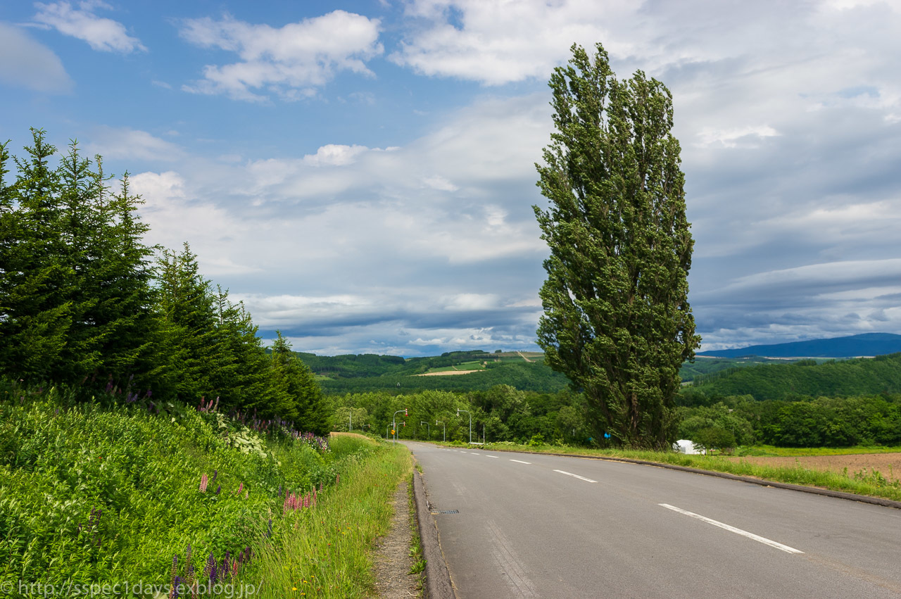 Solitary Journey1259ケンとメリーの木＆マイルドセブンの丘＆今話題の青い池＜東北～北海道１３泊１４日の車旅＞北海道美瑛町』美瑛 びえい北海道 の旅行記・ブログby