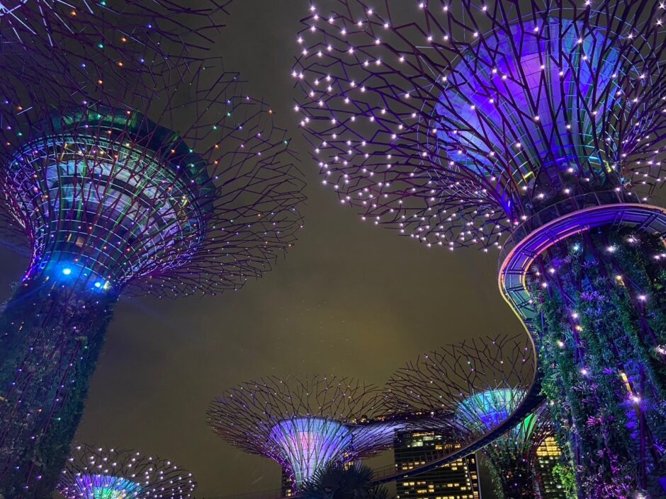 ガーデンズ・バイ・ザ・ベイはシンガポールにある人気の観光スポット！見どころやチケットの購入方法などを解説NEWT ニュート