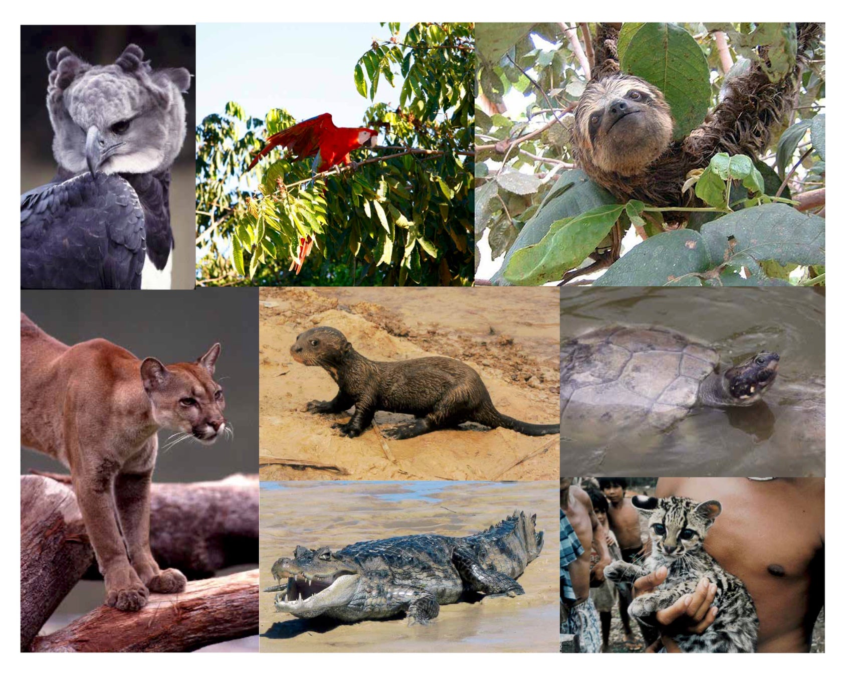 MiCORAY先住民族の暮らしから見えてくる、私たちが進むべき未来と学べること