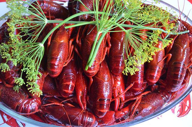 🦞🇸🇪Crayfish Party “Kräftskiva” 🇸🇪🦞 もっとカジュアルに