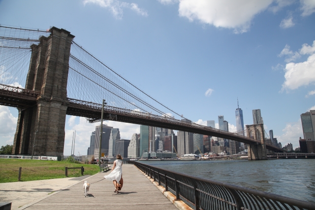 723,115 アメリカ ブルックリン