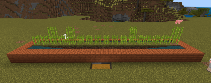 サトウキビ畑 : ボケっとマイクラ