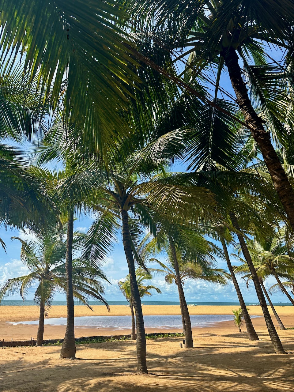 南スリランカで最高のビーチ