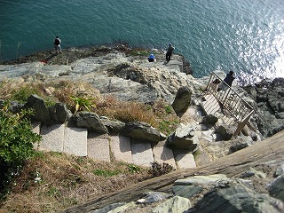 雑賀崎 陸っぱり 釣り・魚釣り釣果情報サイト