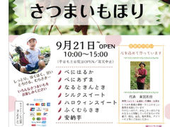 都幾川桜堤の桜花見特集2025