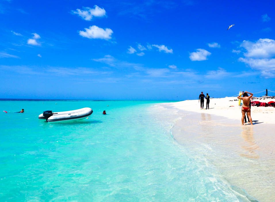 2025年最新 オーストラリアでのおすすめ観光スポット26選！ランキングから人気や穴場を厳選NEWT ニュート