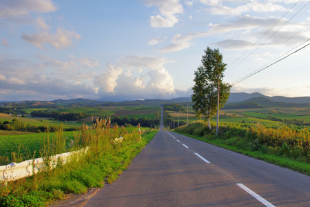 GW北海道旅行 9 行きたかったの、ジェットコースターの路の巻たまごちゃんの好きなものに囲まれた日々