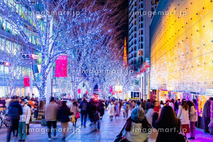 六本木イルミネーション点灯の瞬間 2024年11月7日から12月25日美しい夜景