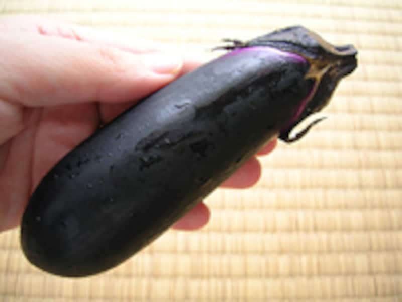 人気♪ナスの育て方 苗の選び方と植え付け方法 プランター栽培