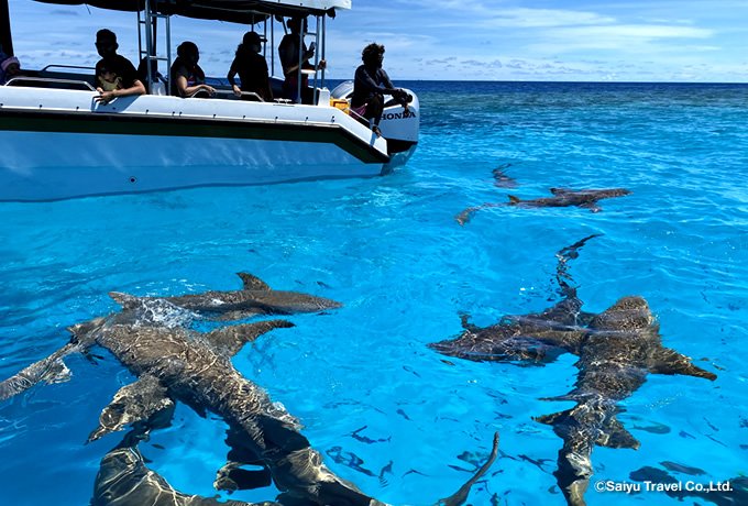2025年 モルディブの7月の気温は？日本との違いや最適な服装を解説 Trip.com