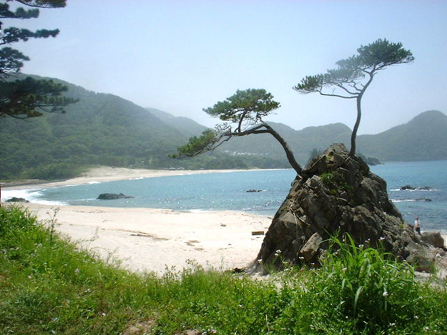 釣りなのにオールホワイト!? 服の汚れすら“味”にする達人のスタイル哲学雑誌Begin ビギン 公式サイト