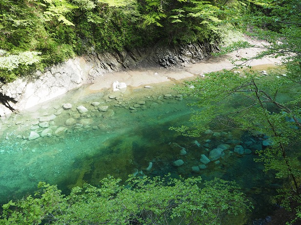 ユーシン渓谷」へ行ってきました♪隊長、チーズであります！！〜遊びと躾と妄想と