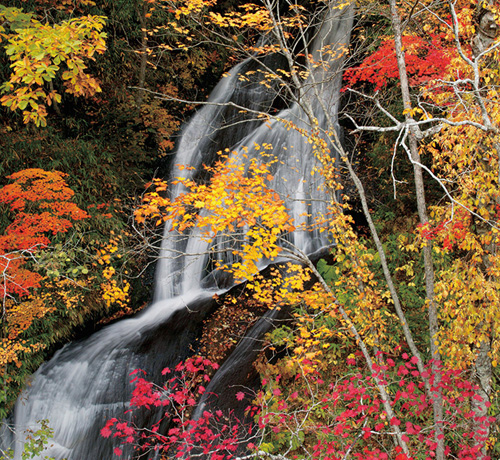 10月中旬 恵庭渓谷「三段の滝ラルマナイの滝白扇の滝」タカトンビ