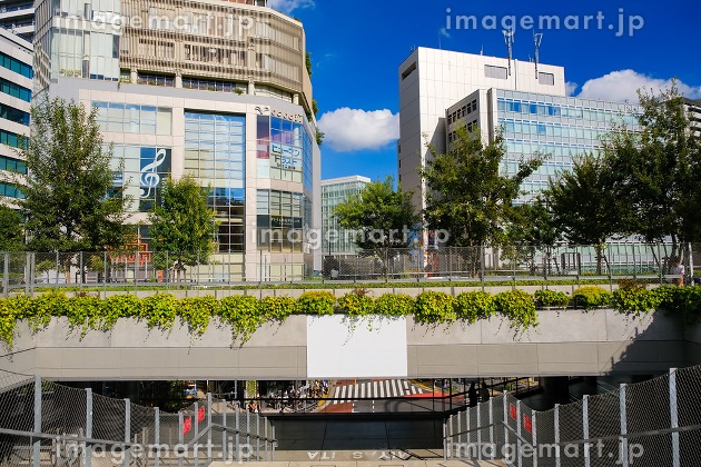 大都会・東京GANREF