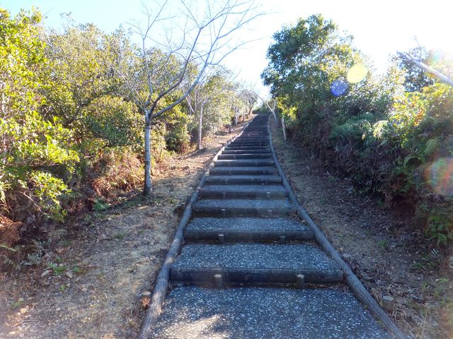 南海展望公園 の周辺スポット・アクセス・口コミ - Prism