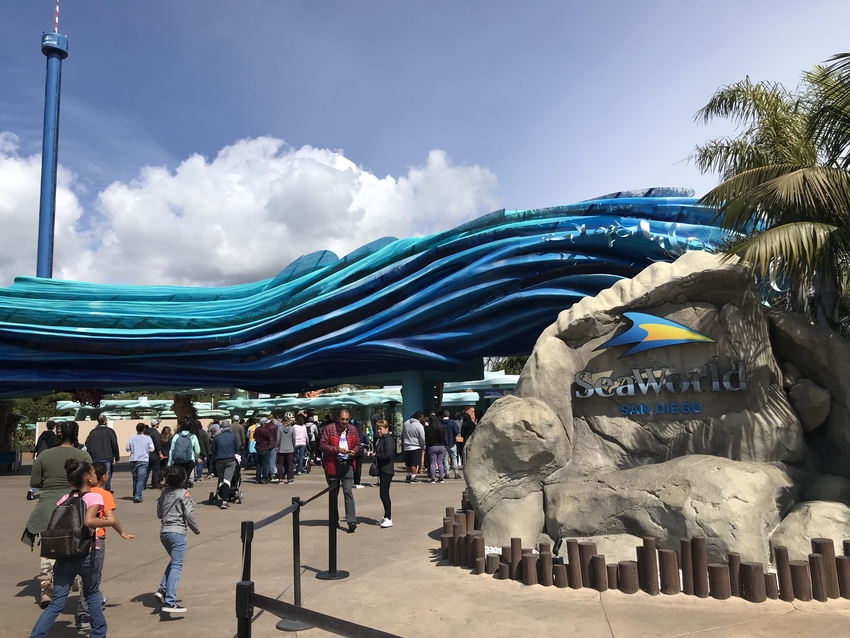 シーワールド サンディエゴ 入場チケット