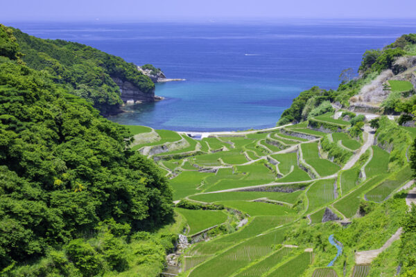 永久保存版！絶景好きがおすすめする九州の絶景スポット20選 - Tripa トリパ