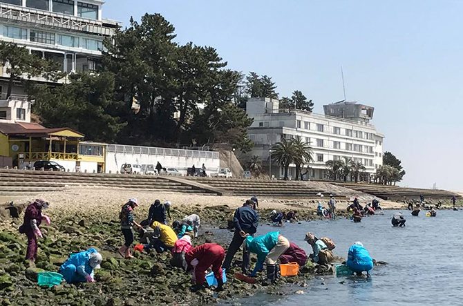 潮干狩りはクロックスでも大丈夫？どんな靴がいい？潮干狩りの服装 大人の場合