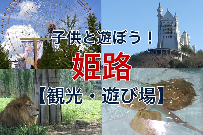 白鳥城と邪神復活の夜 -謎解きレーベル クロネコキューブ