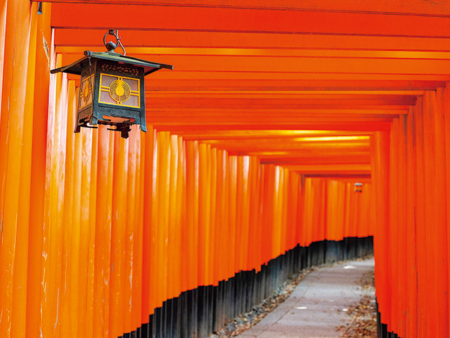 京都の 伏見稲荷大社 に行くなら朝か夕方以降がおすすめ！夜間拝観や駐車場について教えますtabishu