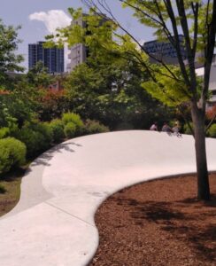 南池袋公園『ラシーヌファームトゥパーク』広大な芝生の上でドーナツピクニックを楽しもう！東京一人旅男子