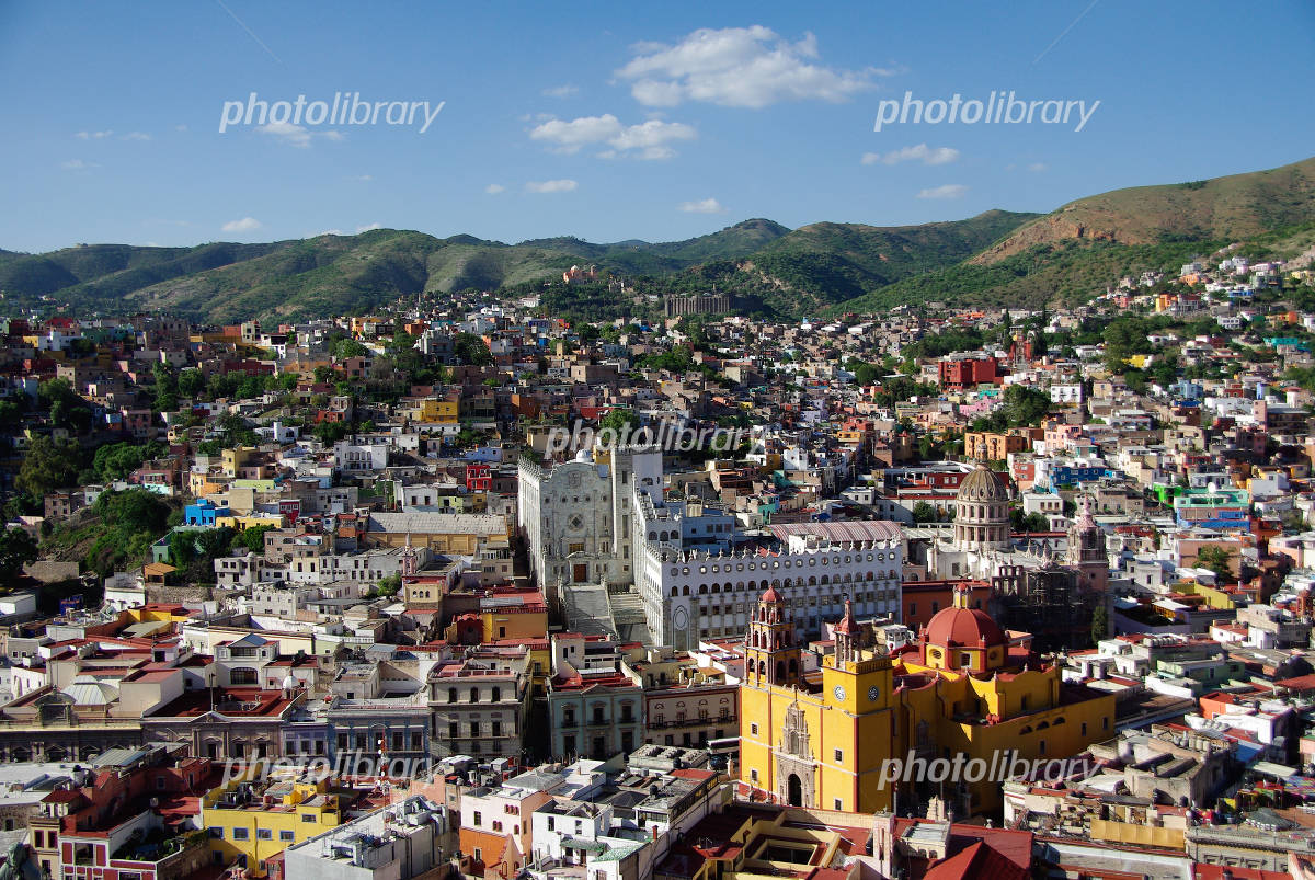 メキシコシティのプライベートカスタマイズされたプロの写真撮影 2025 - メキシコシティ