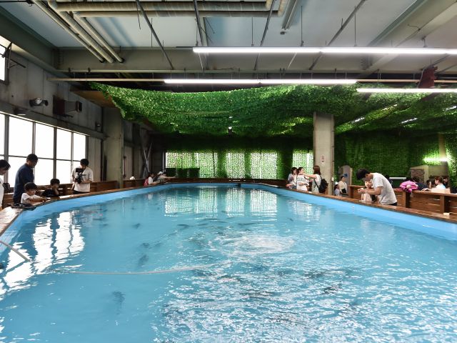 神奈川 家族・子連れで楽しめる釣り堀12選！おすすめポイントや釣れる魚も紹介 じゃらんニュース