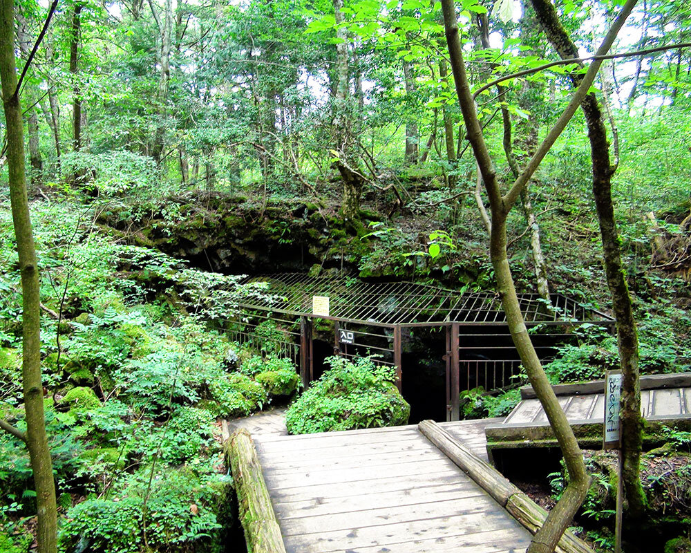 富士山周辺の洞窟を探検してみた 鳴沢氷穴・富岳風穴・西湖コウモリ穴くらげ模様
