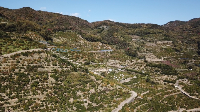 葛藤を超える ～藤田さんのみかん～ - りょくけん東京