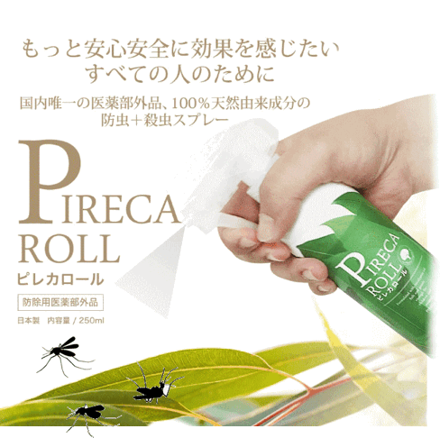 トコジラミの急増。インバウンドで持ち込まれたか！50歳おっさんつぶやき