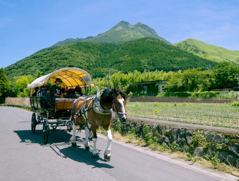 観光辻馬車 アクセス・営業時間・料金情報 -