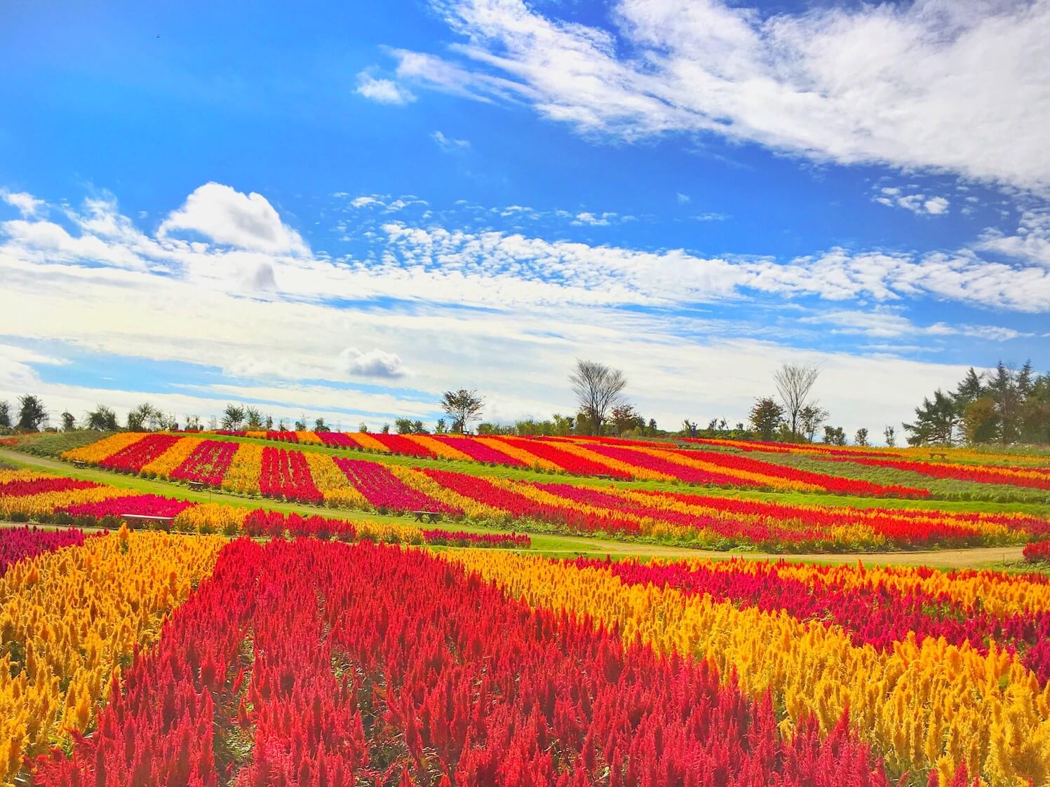 那須町の夜景スポット