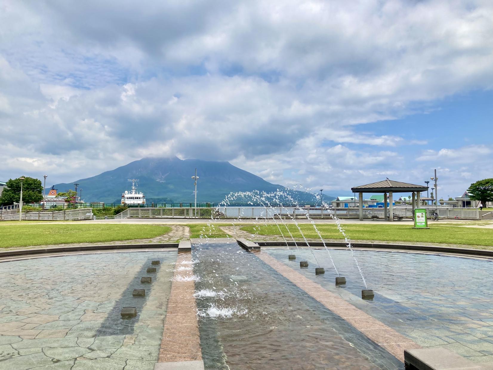 トム マッコール ウォーターフロント