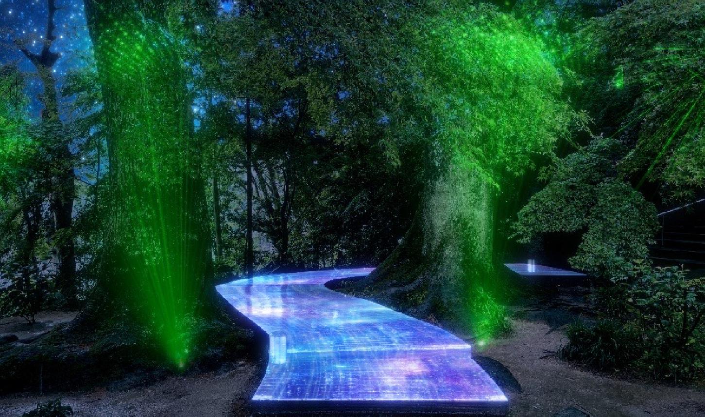 竈門神社 七夕祭り」～祈りのともしび～開催決定！株式会社サエキジャパンのプレスリリース