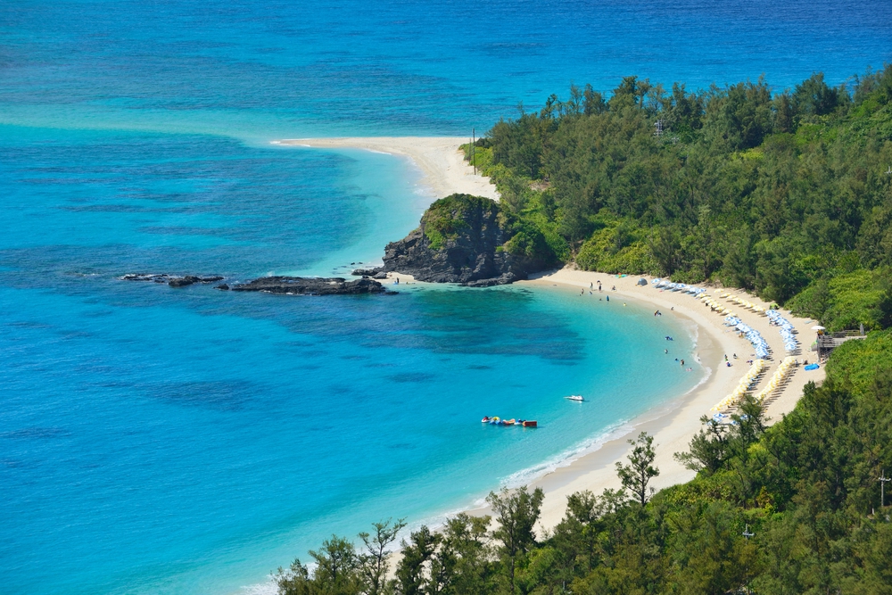 ゲイビーチ - SearchX